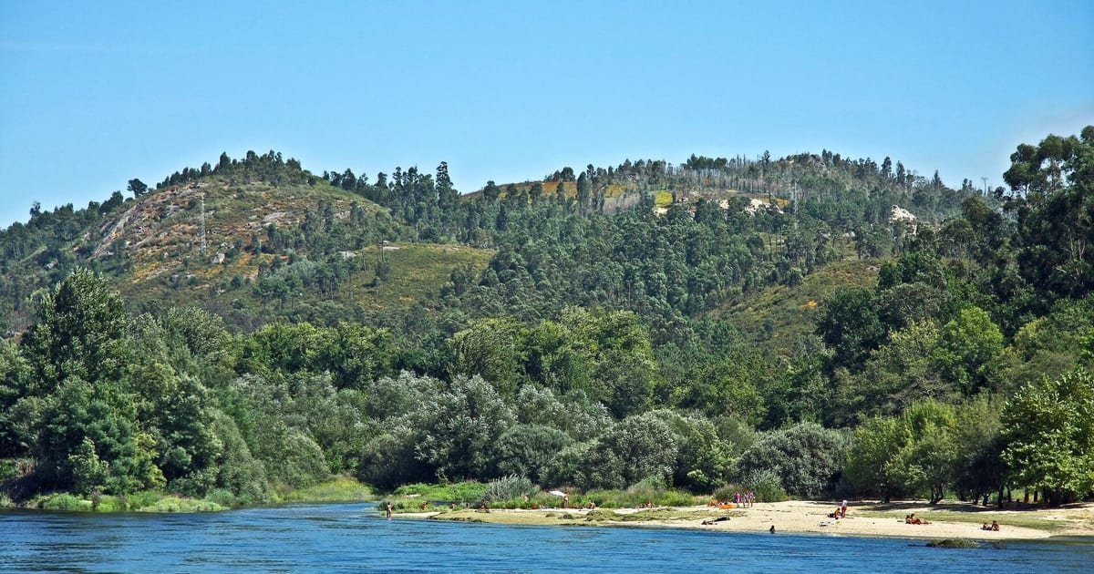 Praia fluvial calma de Friestas, no rio Minho, com águas mansas e margem arborizada, ideal para famílias com crianças no Norte de Portugal