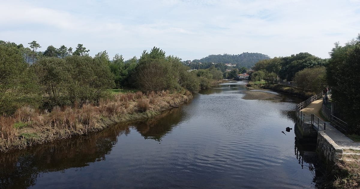 Águas calmas do Rio Neiva a serpentear entre vegetação verdejante no vale do Neiva, Minho, Norte de Portugal